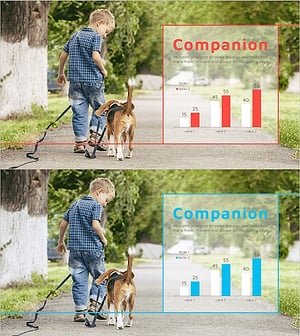 반려동물 양육자 분석 그래프 – 시장 트렌드 분석