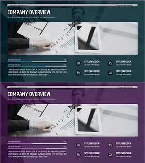 회사 개요 및 성장 가능성 분석 – 다이어그램 및 그래프 활용