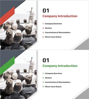 Diagonal Theme IR Template – Company Introduction Slide