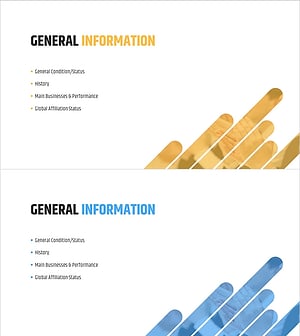 Circular Diagonal Pattern Proposal Section Slide