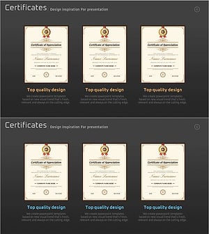 Certificate Description Slide – Excellence Captured