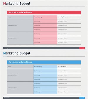 Marketing Budget Summary Table Slide – Efficient Data Management
