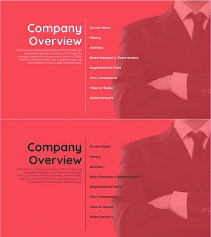 컬러 심플 회사소개서 간지 - 전문적인 비즈니스 소개