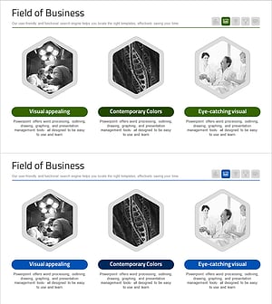 의료서비스 육각 다이어그램 – 사업비전 설명