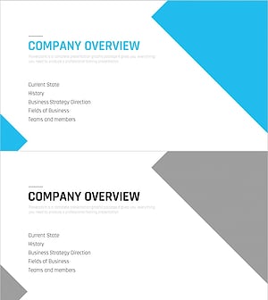 Multipurpose Business Plan Template Section Slide – Professional Company Overview