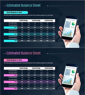 어플리케이션 개발 사업 대차대조표 – 세련된 디자인의 재무 제시