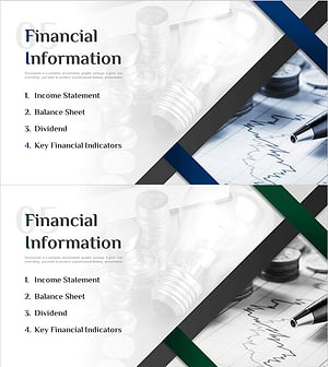 Modern Line IR Template Section Slide – Financial Information Presentation