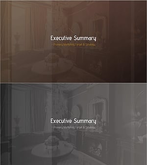 Luxury Hotel Marketing Plan Slide – Strategic Summary