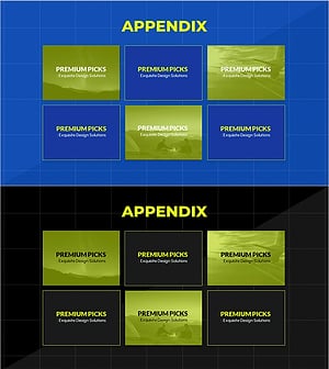 Introduction to the Appendix Program – Engaging Program Structure
