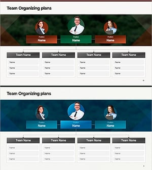 조직 체계 및 팀 운영 계획