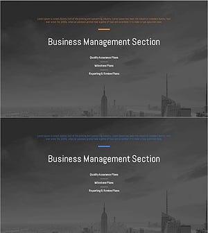 City Theme Proposal Template Section Slide – Business Management Section