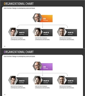 Hexagonal Shape Profile Organization Chart