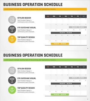 사업 추진 일정 로드맵 – 전략과 관리
