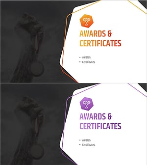 Hexagon Pattern Company Profile Section - Awards and Certificates