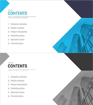 Multipurpose Business Plan Template Contents