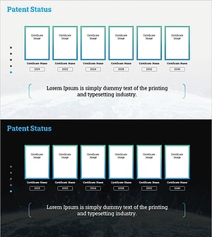 Patent Registration Status by Year Slide