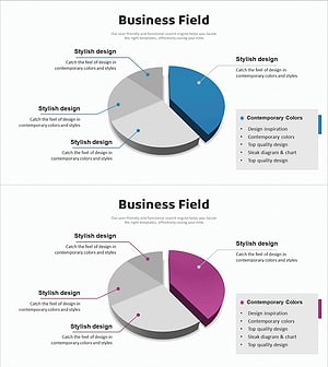 Pie Chart Slide Visualizing Main Business Areas and Market Positions