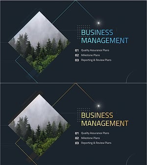 Photography Proposal Template Section – Business Management Explanation