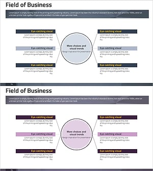 사업영역 육각 다이어그램 – 사업 전략과 비전