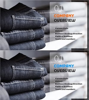 Fashion Business Plan Template Section Slide – Company Overview