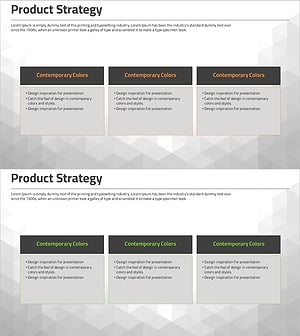 상품 전략 개요 – 수행과 성과