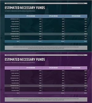 추가 투자 유치 가능성 및 계획 - 투자 수익률 예측과 전략적 예산 평가