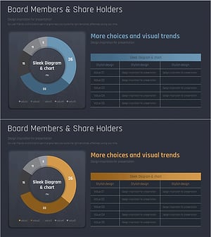 보드 멤버 및 주주 현황을 시각화한 슬릭 다이어그램