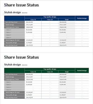 주식 구조 및 발행 내역 분석표 – 재무 데이터 통합