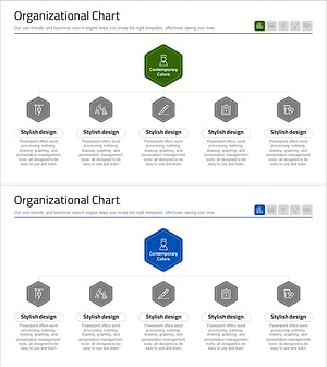 Medical Services Business Organization Chart