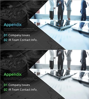 Modern IR Template Section Slide – Professionalism and Trust