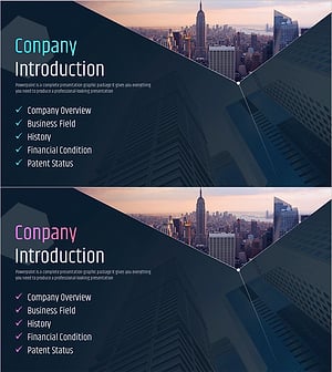 IT Investment Attraction Template Section – Highlighting Business Introduction and Achievements
