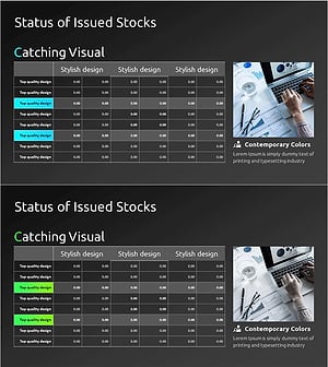 주식 구조 및 발행 내역 분석표 – 효율적 데이터 시각화