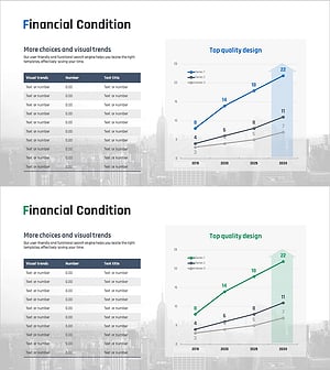 회사 재정상태 분석 차트 – 사업 성장의 비전