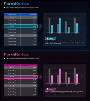 재정 상태 분석 차트 – 사업소개 및 향후 전망