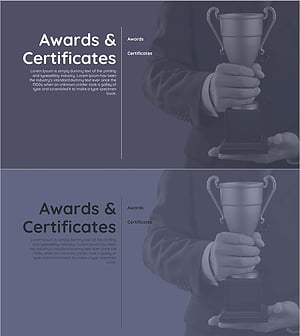 Color Simple Company Introduction Section Slide