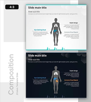 주요 장기 기능 및 위치 설명 – 인포그래픽으로 시각화