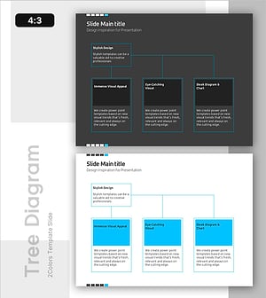 Key Details Slide - Elegant Diagram Utilization