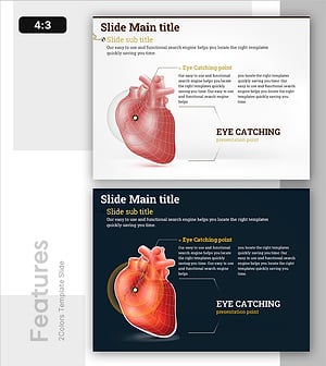 심장 건강 상태 분석 – 건강과 비전
