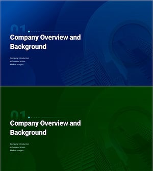 Company Overview and Background – Emphasizing Professionalism and Vision