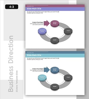 Flow Diagram with Objectives – Strategy and Direction