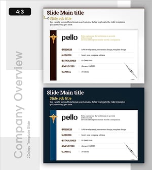 의료 진단 및 평가 보고서 개요 – 효율적이고 전문적인 프레젠테이션