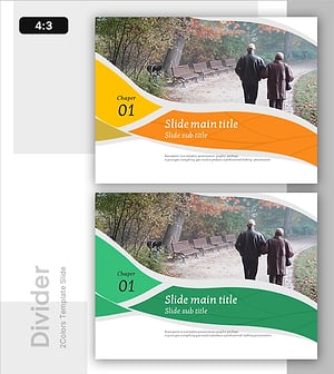 Graceful Retirement Template Section