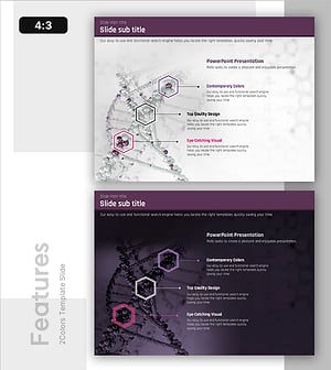 Analytical Stages and Key Features of Genetic Research