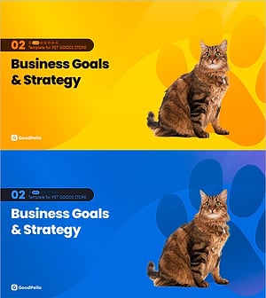 PetBiz Vision Section – Business Goals & Strategy
