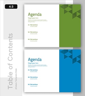 Successful Business Strategy Table of Contents Slide