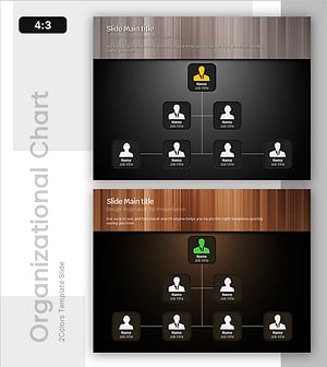 라운딩 박스형 조직도 – 구조적 전문성 강조