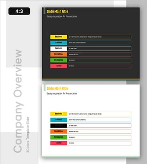 Colorful Company Overview Slides – Business Overview and Vision