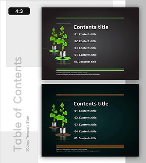 Green Energy PPT Table of Contents for Carbon Neutrality