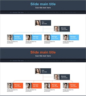 Business Profile Organization Chart Diagram – Visualizing Efficient Team Structure