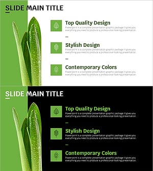 Trend Color Wide Template Diagram – Modern and Stylish Design